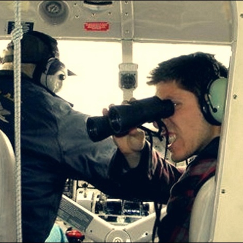 Meet your Posher, Bear